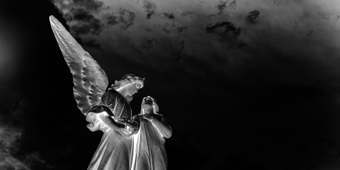 The Last fallen angel